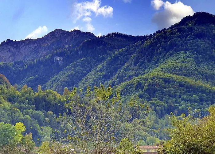 Oberhuber * Staudach-Egerndach